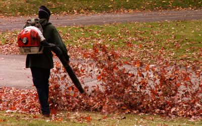 RTM To Consider Restricting Use Of Gas-Powered Leaf Blowers